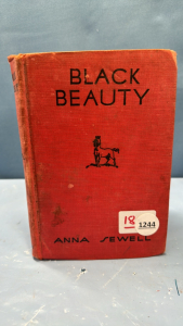 Black Beauty Novel by Anna Sewell