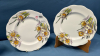 4 Royal Albert Daffodil Pattern 8" Plates - 3