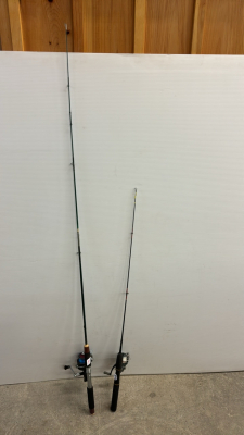 2 Fishing Poles with Reels